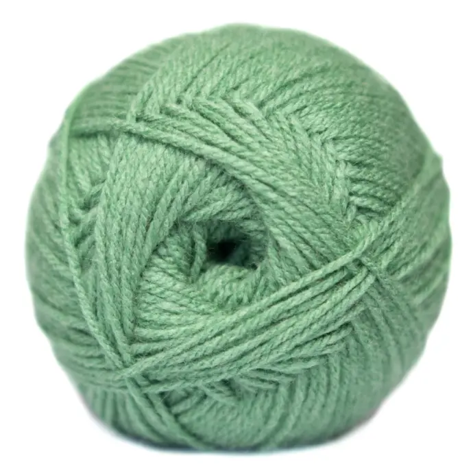 FERN PULLSKEIN DK CLASSIC ELLE 100g